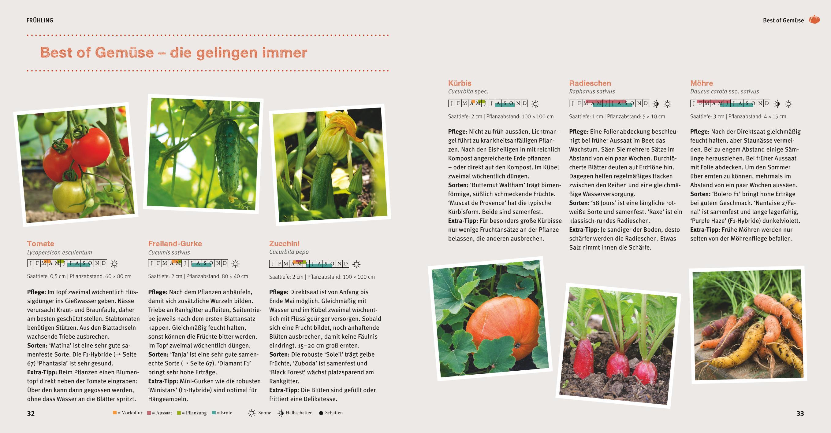 Beispielinhalt (Bild) Garten Basics - Gärtnern für Anfänger