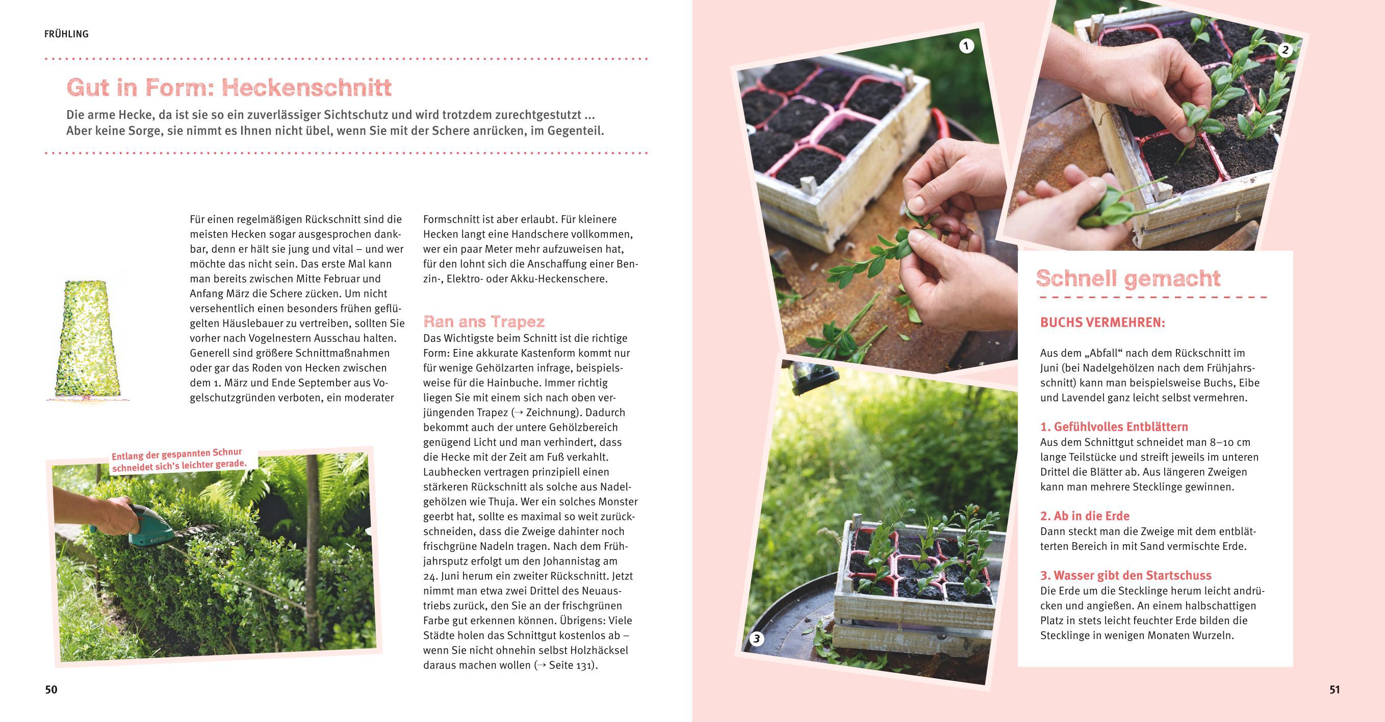 Beispielinhalt (Bild) Garten Basics - Gärtnern für Anfänger