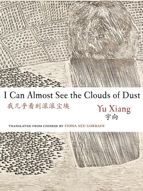 Vorderes Coverbild I Can Almost See the Clouds of Dust