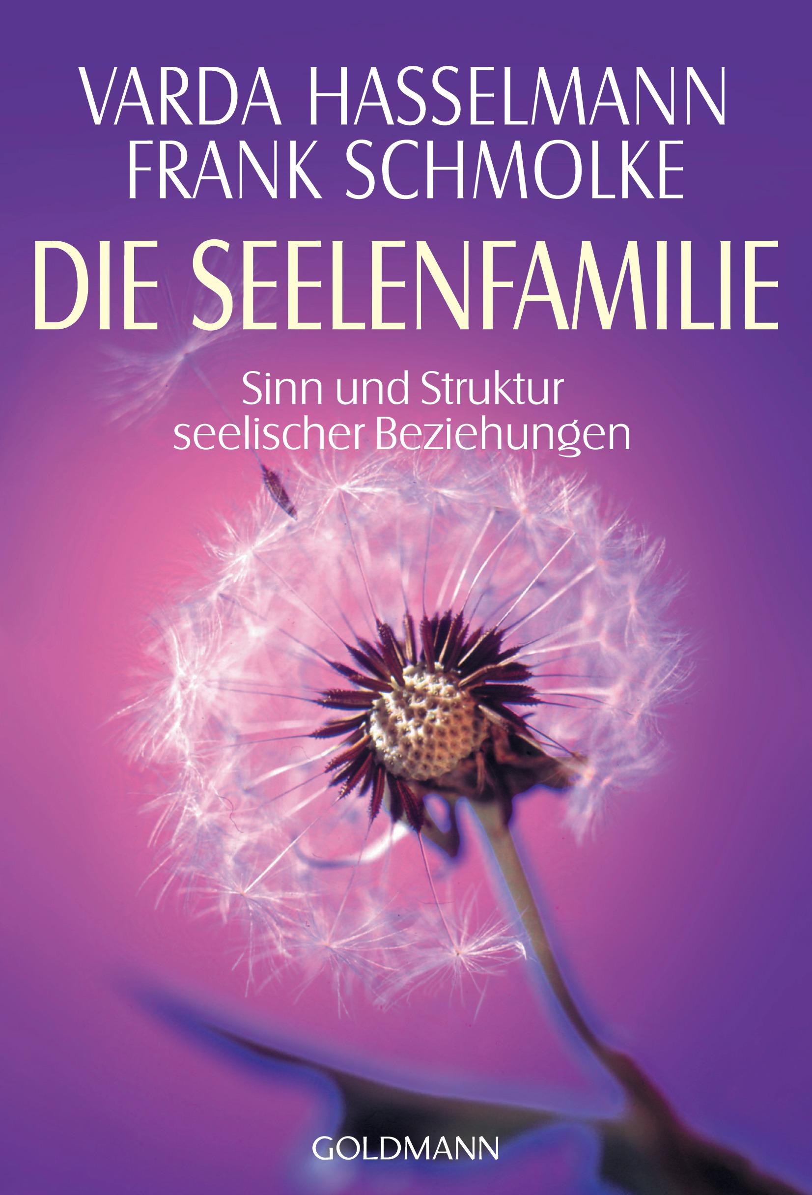 Vorderes Coverbild Die Seelenfamilie