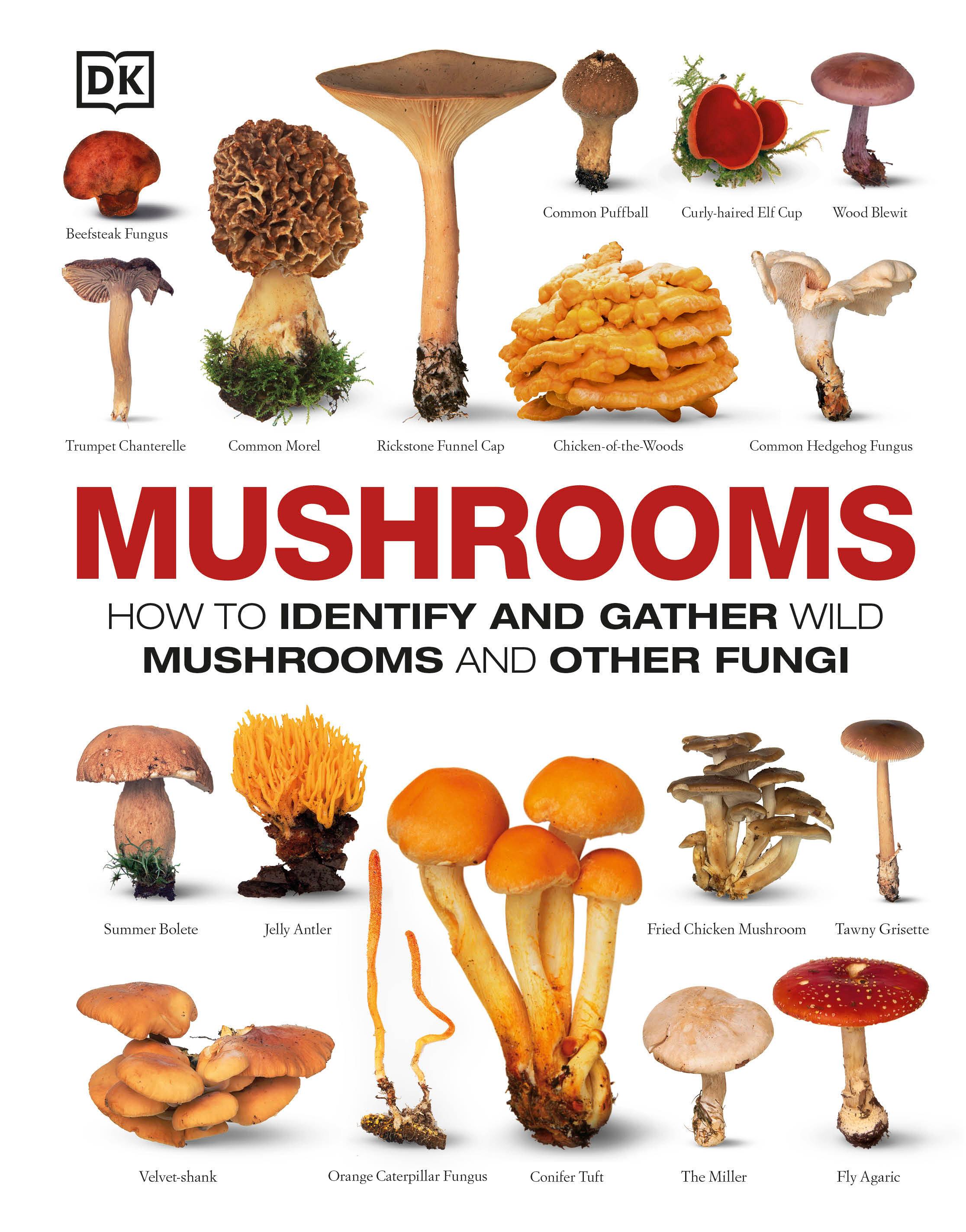 Vorderes Coverbild Mushrooms