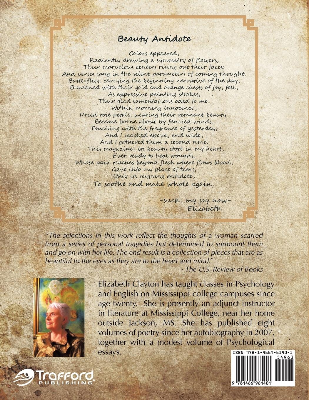 Rückseitencover Scarlet Flow