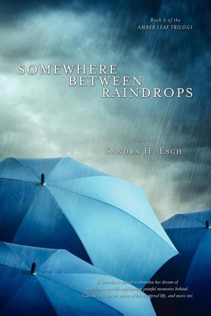 Vorderes Coverbild Somewhere Between Raindrops