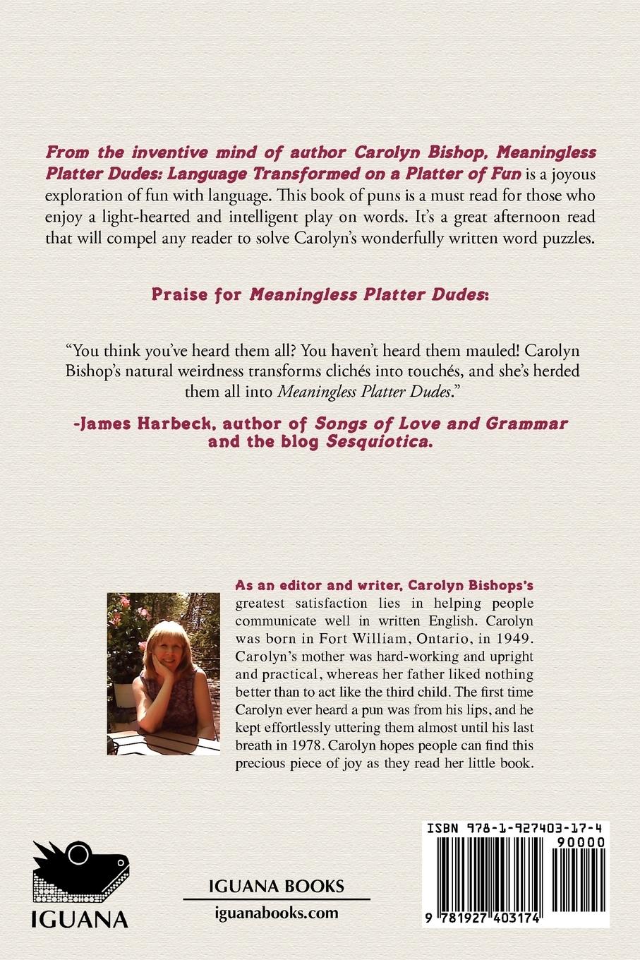 Rückseitencover Meaningless Platter Dudes