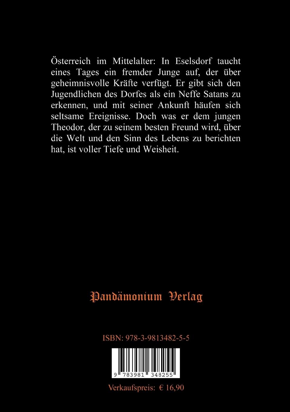 Rückseitencover Der geheimnisvolle Fremde