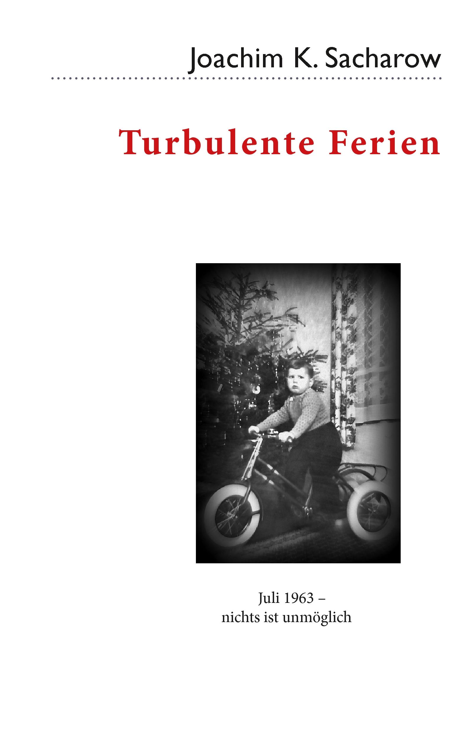 Vorderes Coverbild Turbulente Ferien