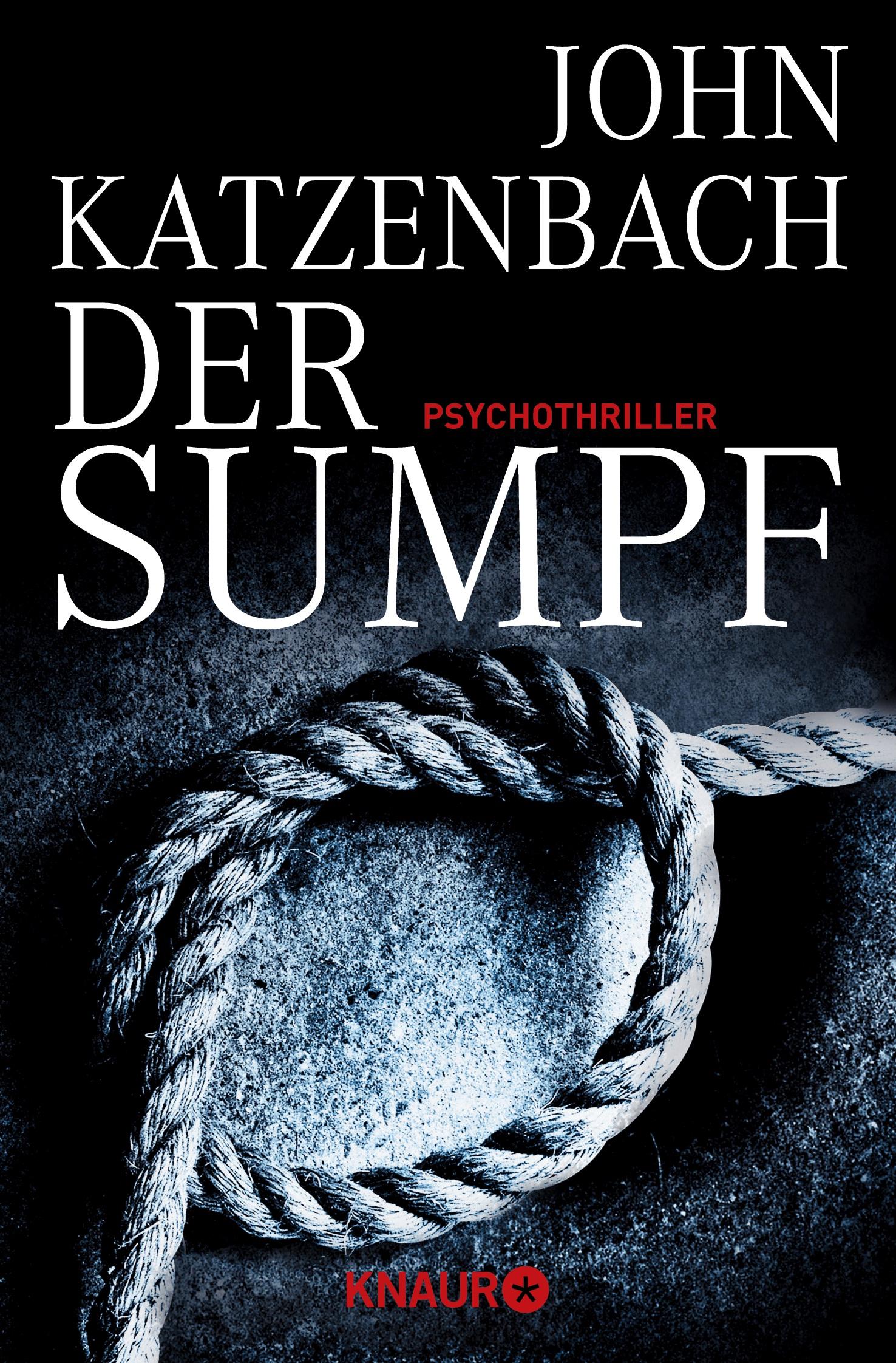 Vorderes Coverbild Der Sumpf