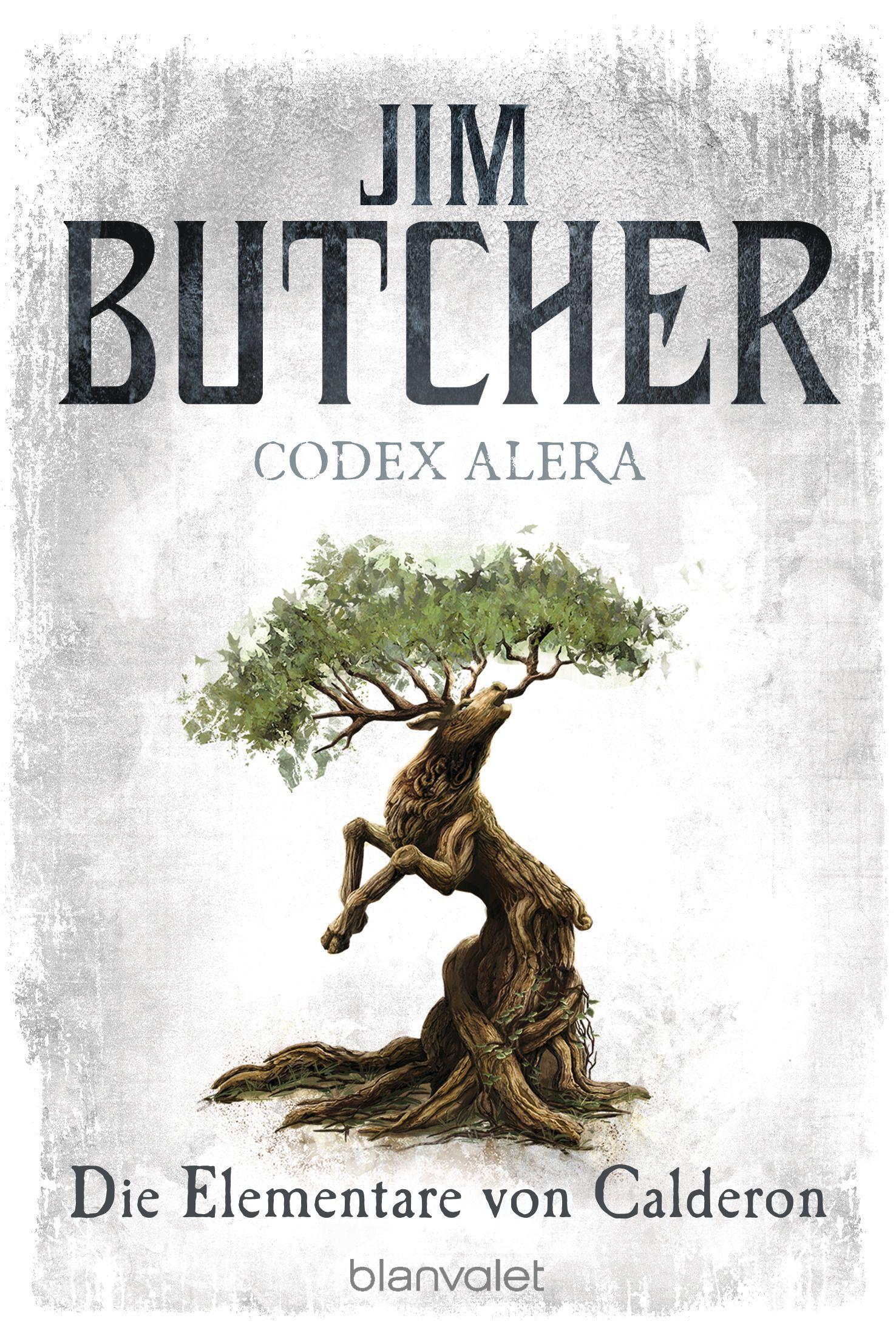 Vorderes Coverbild Codex Alera 1