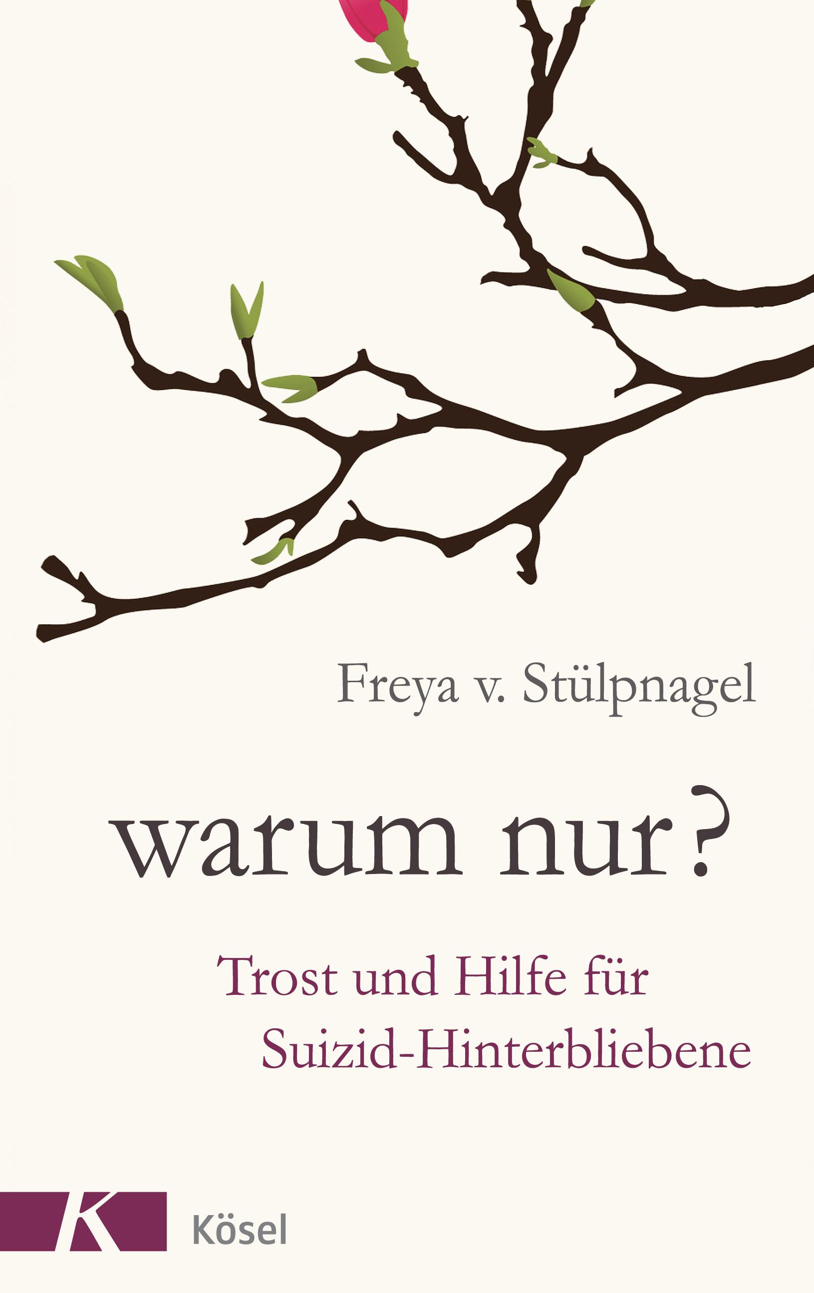 Vorderes Coverbild Warum nur?