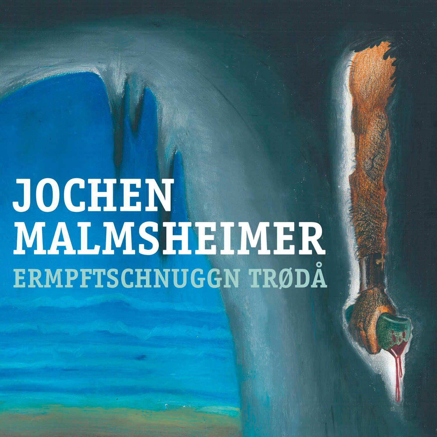 Vorderes Coverbild Ermpftschnuggn trødå!