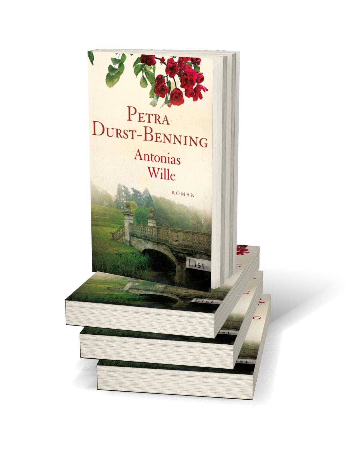 Beispielinhalt (Bild) Antonias Wille