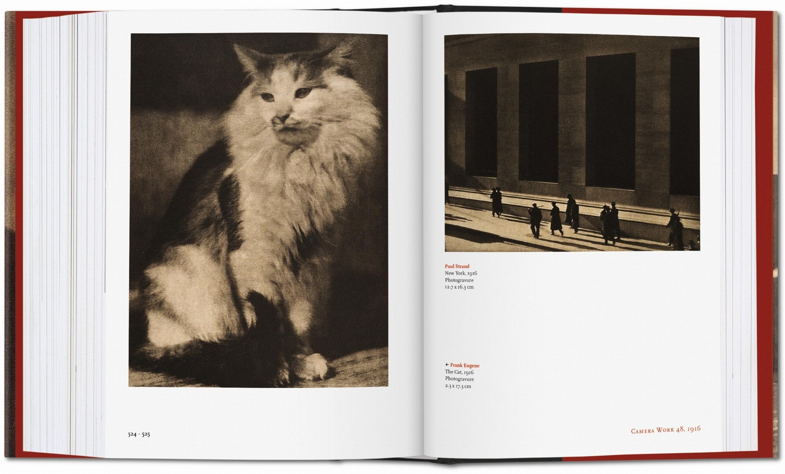 Beispielinhalt (Bild) Alfred Stieglitz. Camera Work