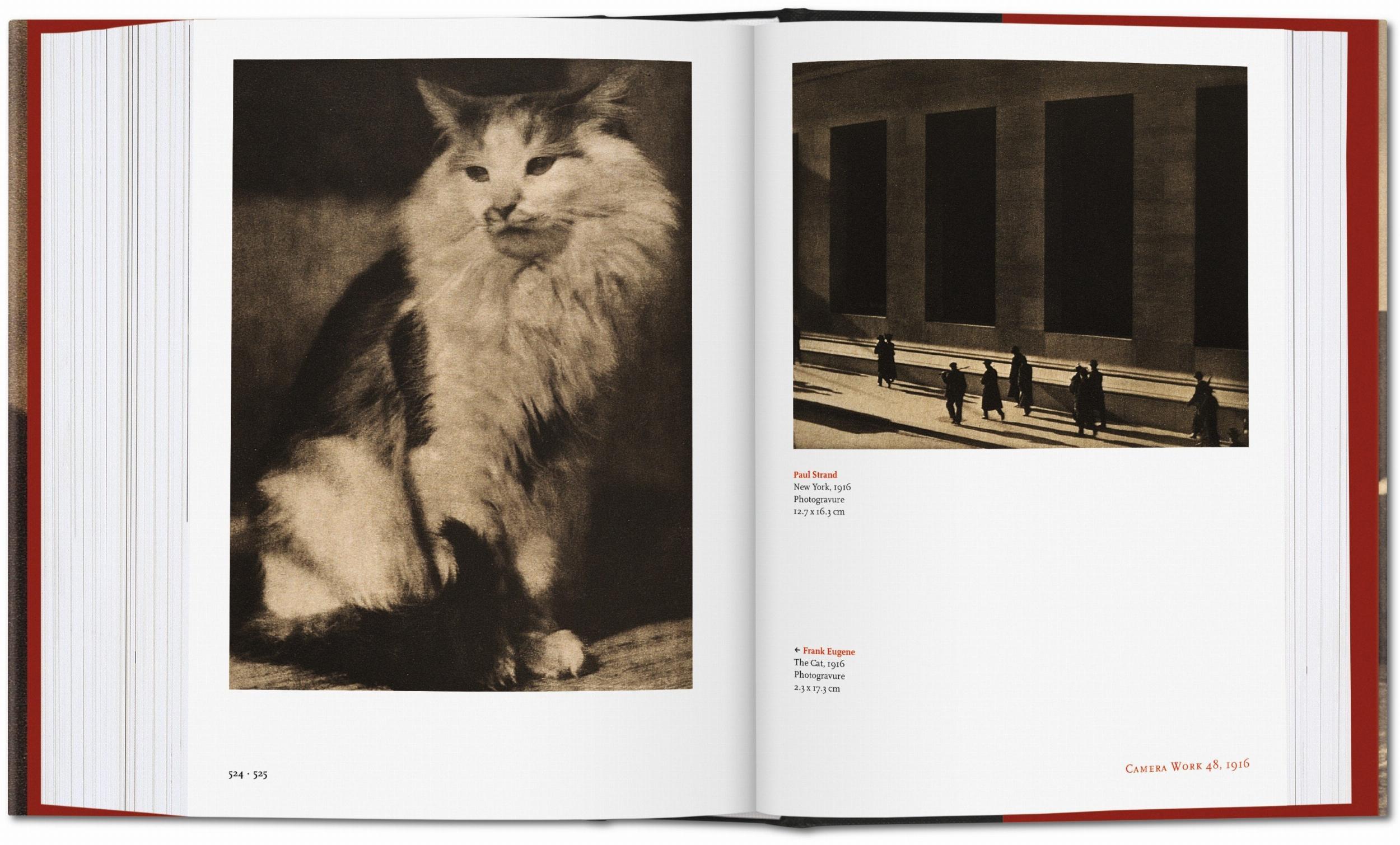 Beispielinhalt (Bild) Alfred Stieglitz. Camera Work