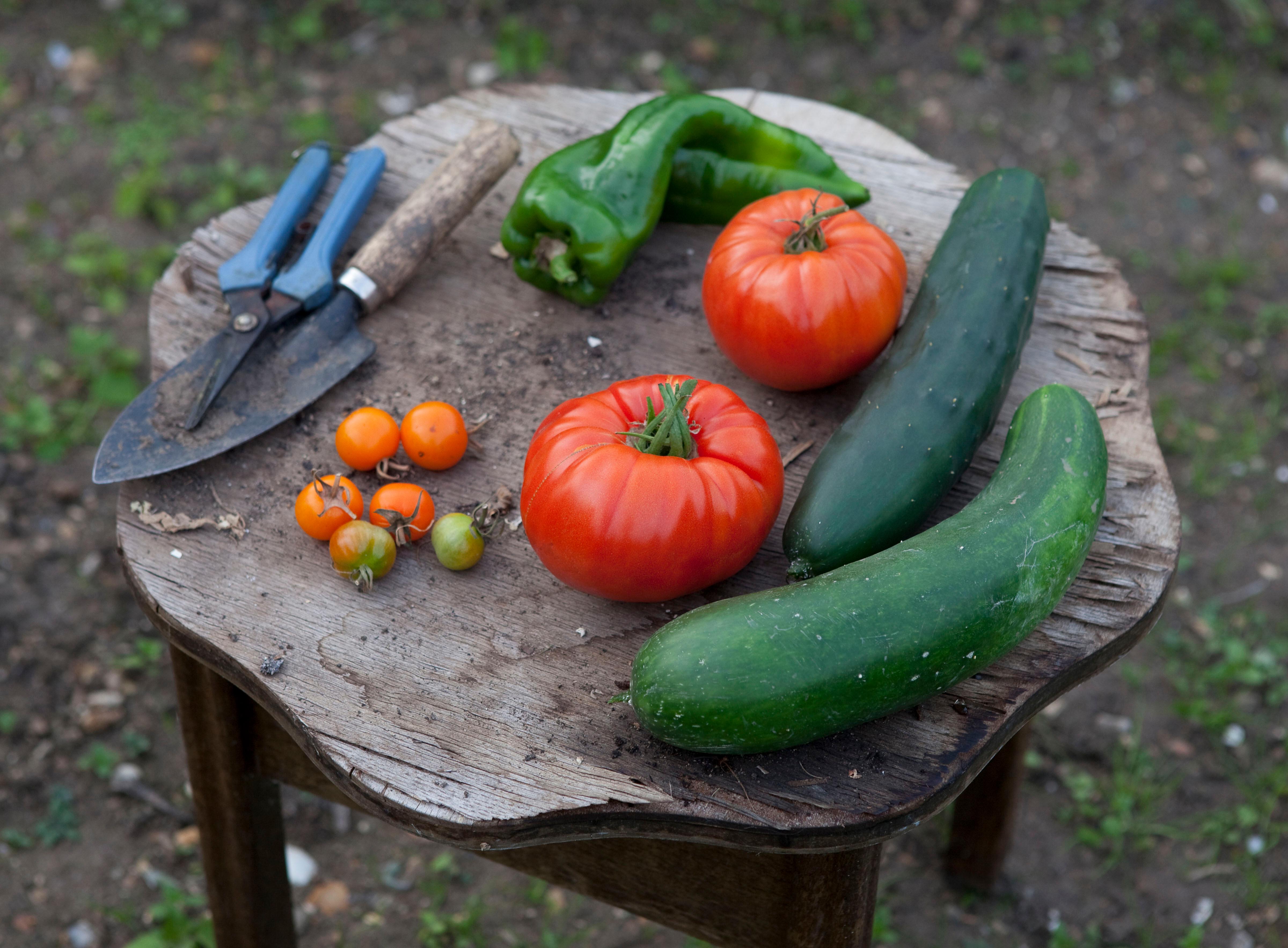 Beispielinhalt (Bild) Zum Glück Gemüse. 350 Gemüserezepte für alle Jahreszeiten
