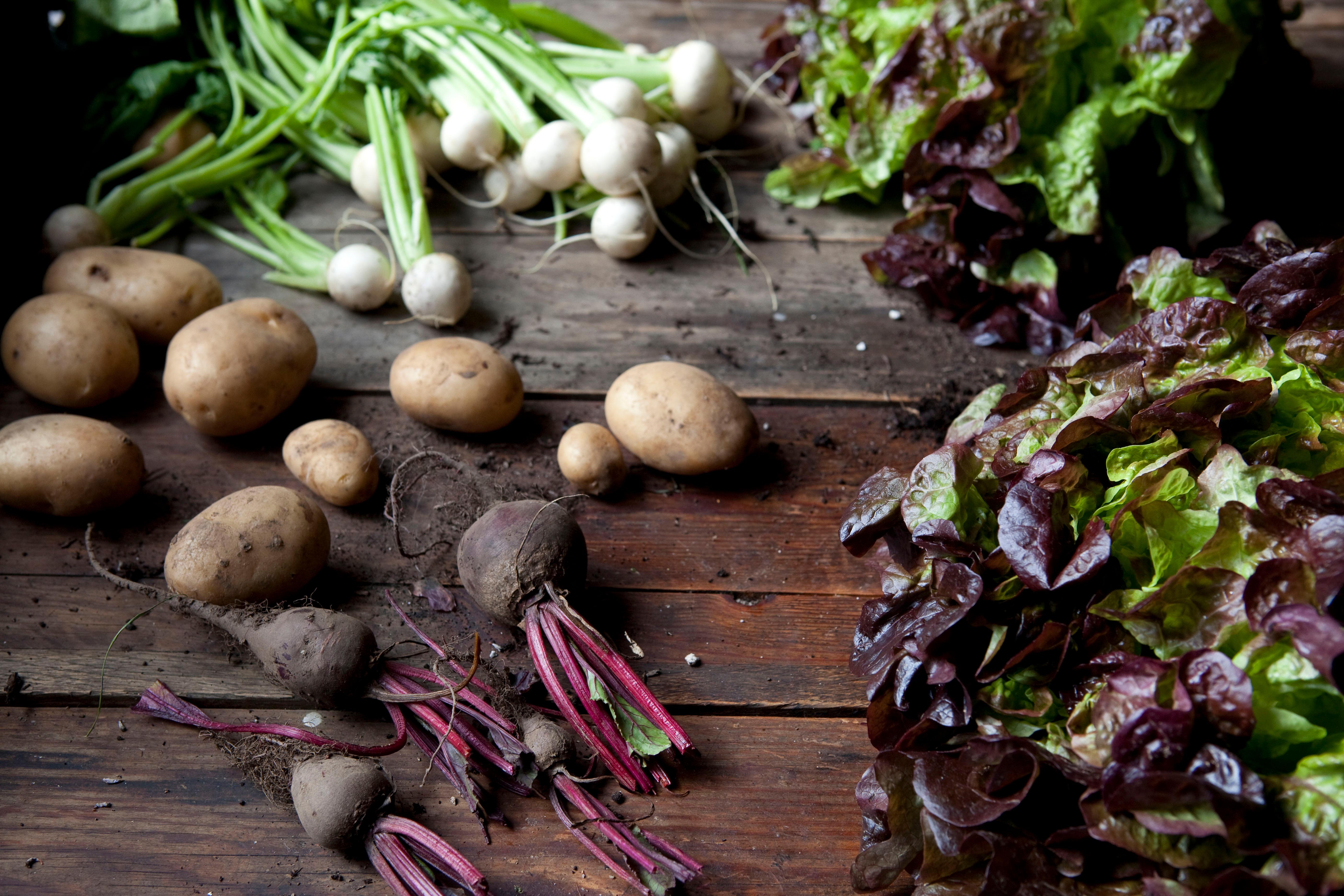 Beispielinhalt (Bild) Zum Glück Gemüse. 350 Gemüserezepte für alle Jahreszeiten