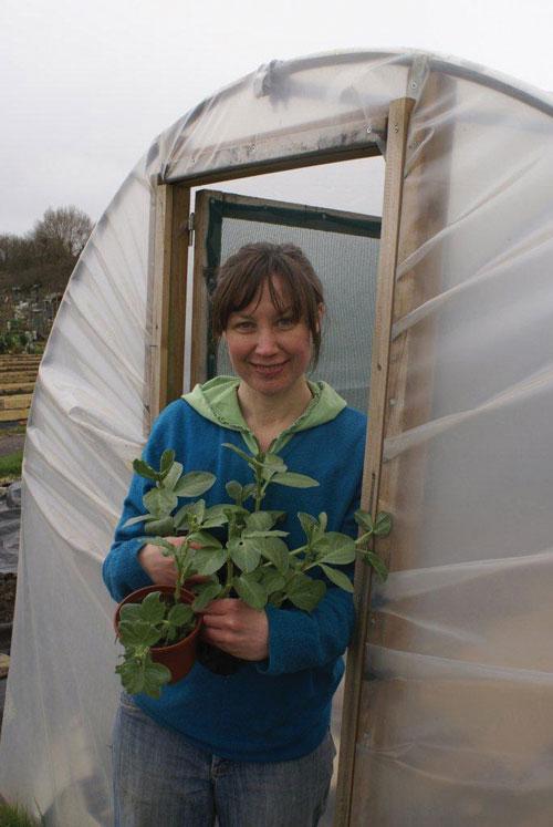 Autorenbild my cool allotment