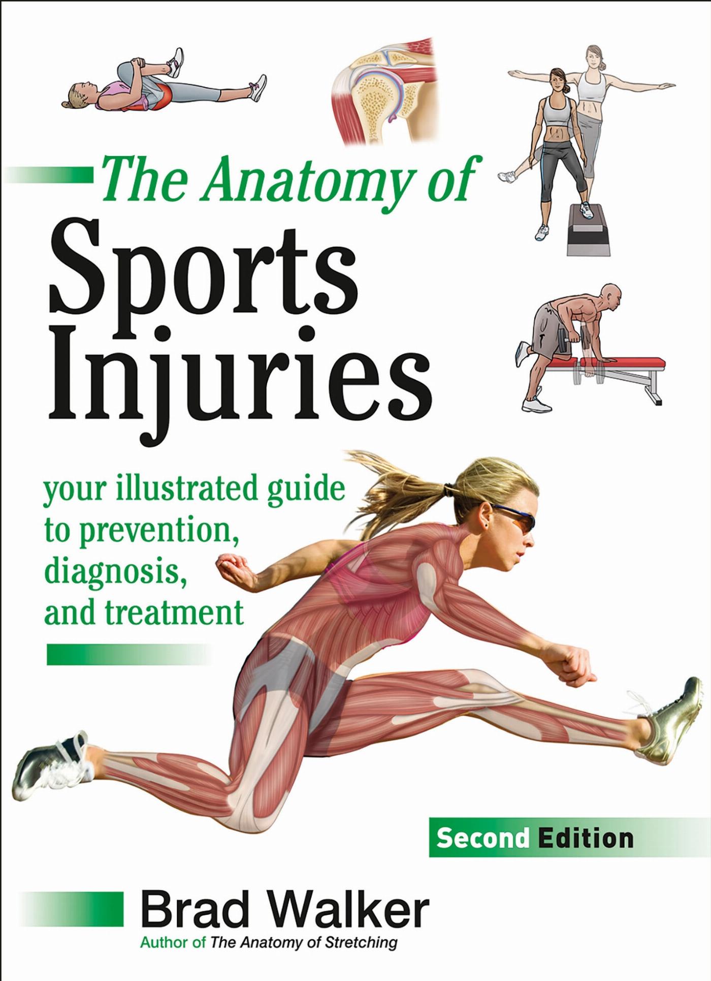 Vorderes Coverbild The Anatomy of Sports Injuries