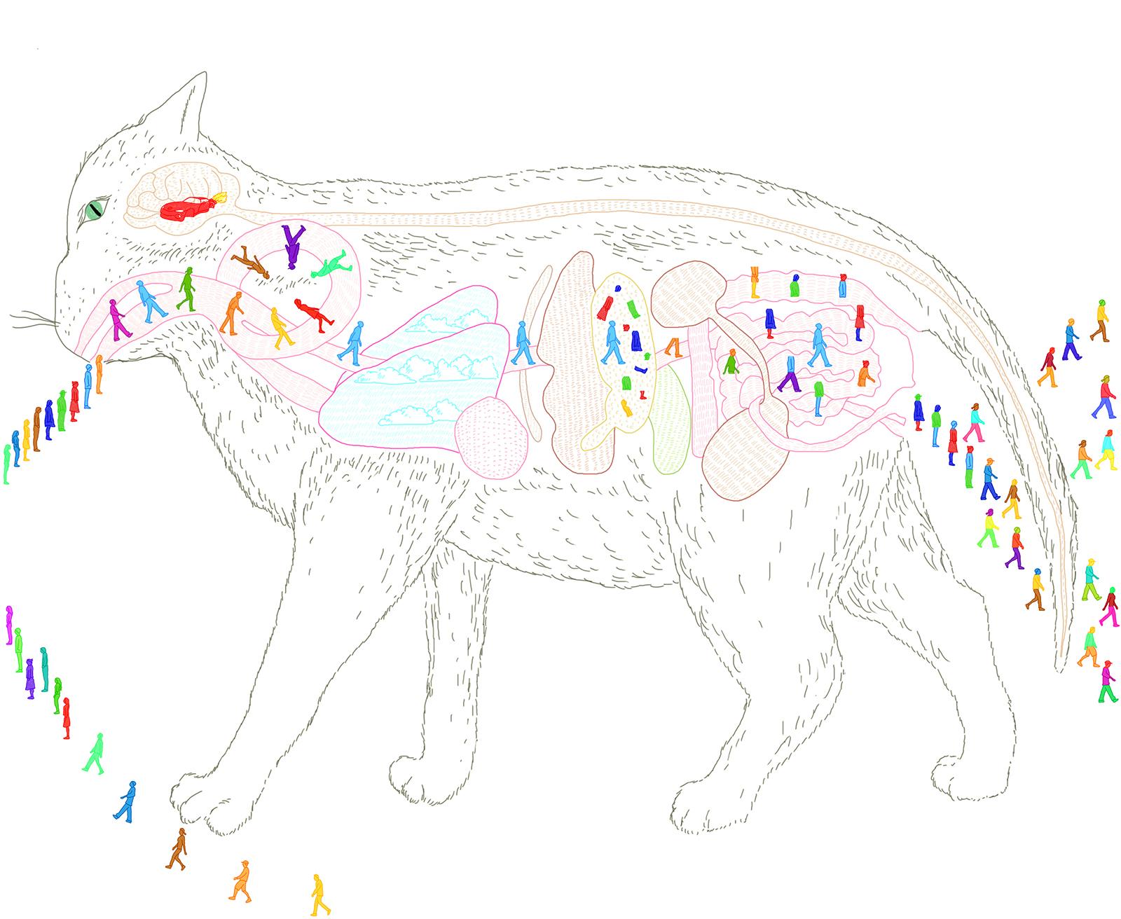 Beispielinhalt (Bild) Wann wird es endlich wieder so, wie es nie war