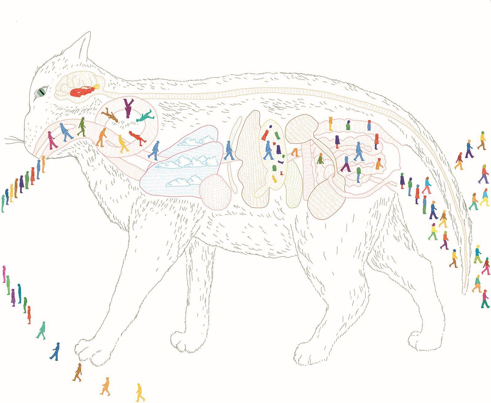 Beispielinhalt (Bild) Wann wird es endlich wieder so, wie es nie war