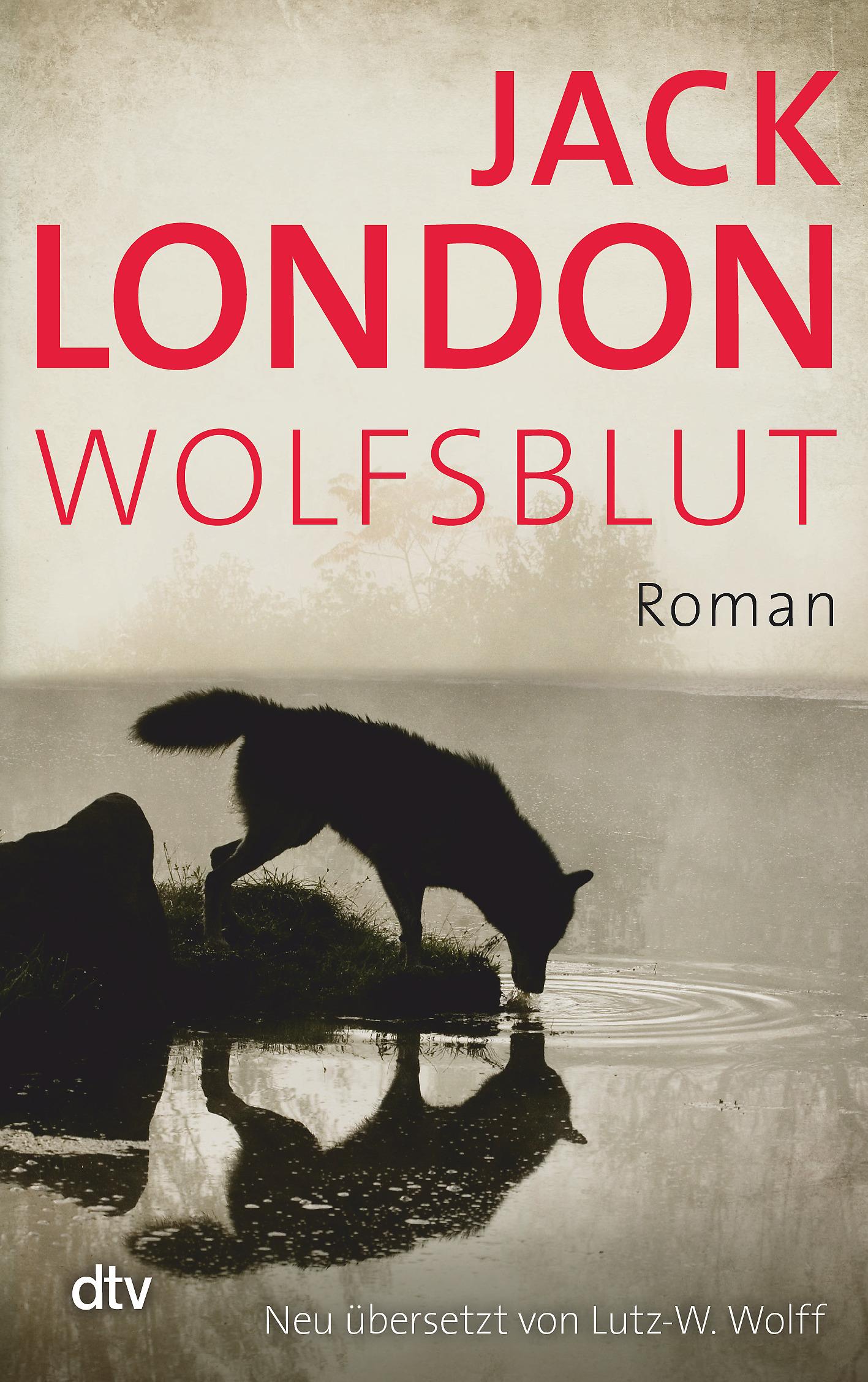 Vorderes Coverbild Wolfsblut