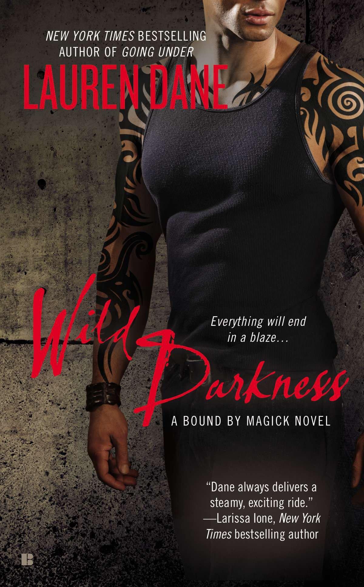 Vorderes Coverbild Wild Darkness
