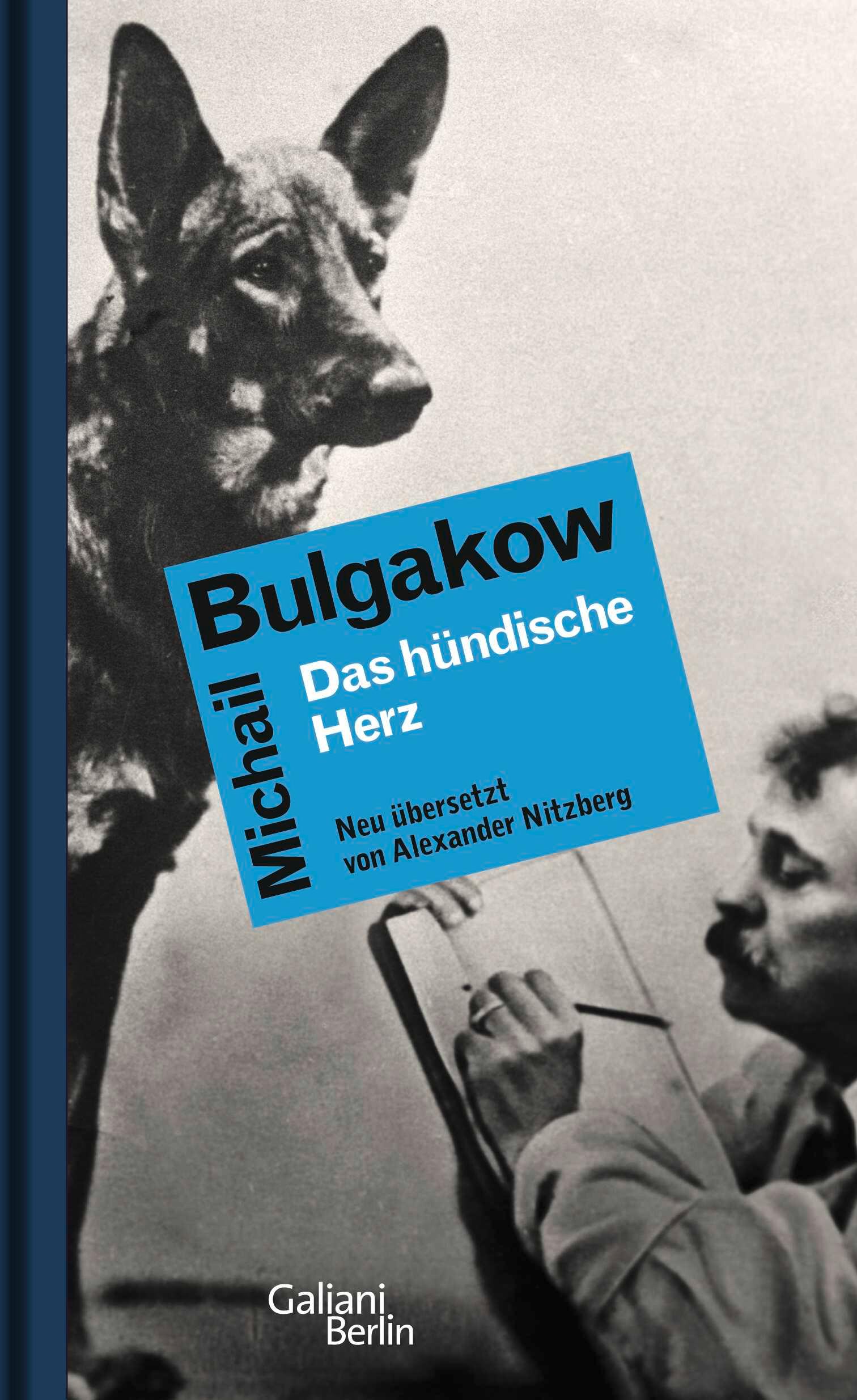 Vorderes Coverbild Das hündische Herz