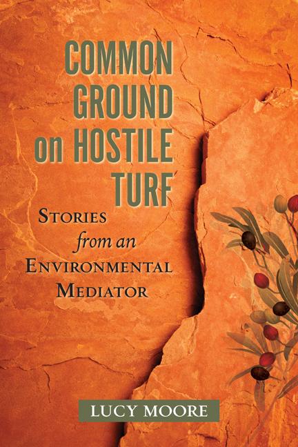 Vorderes Coverbild Common Ground on Hostile Turf