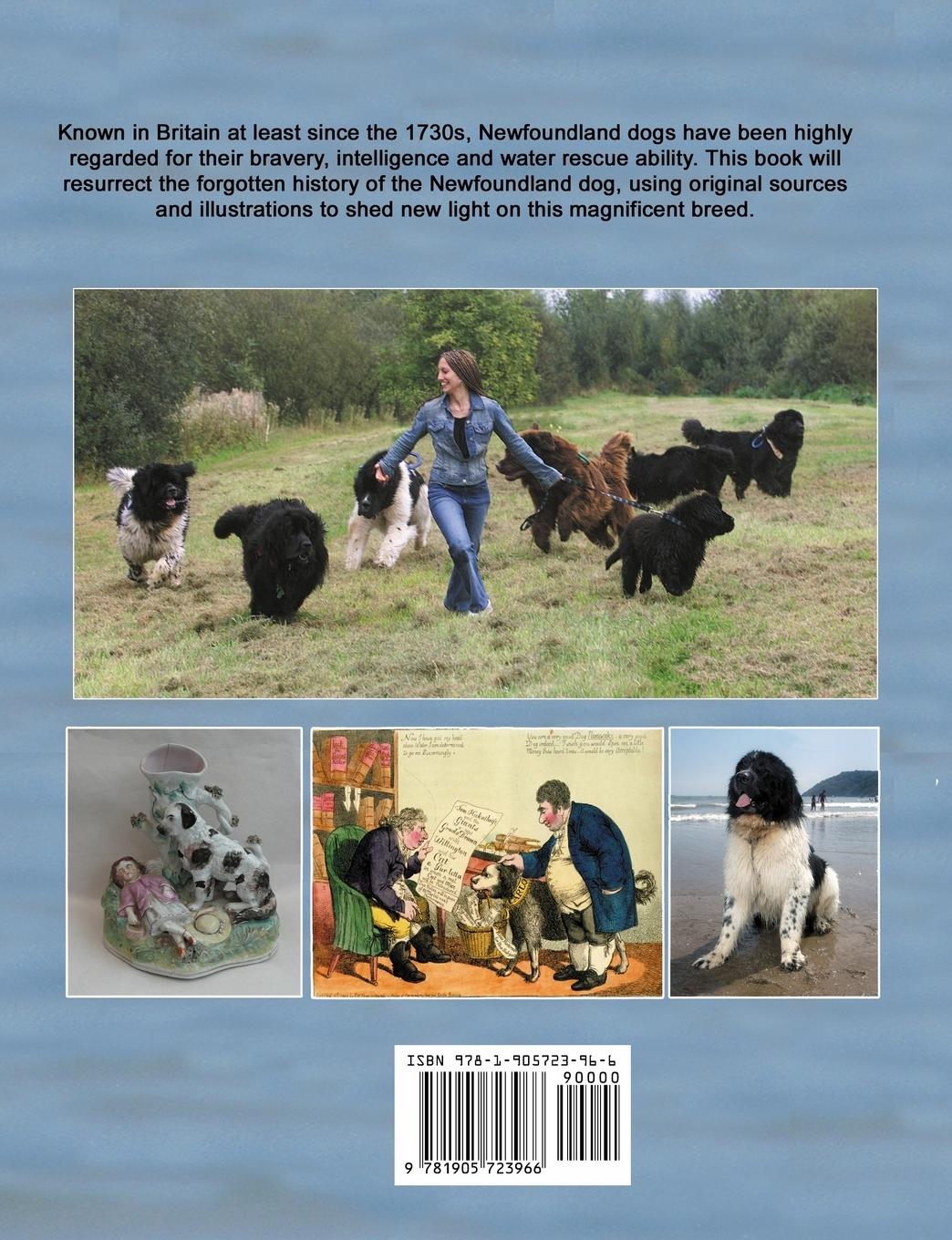 Rückseitencover Those Amazing Newfoundland Dogs