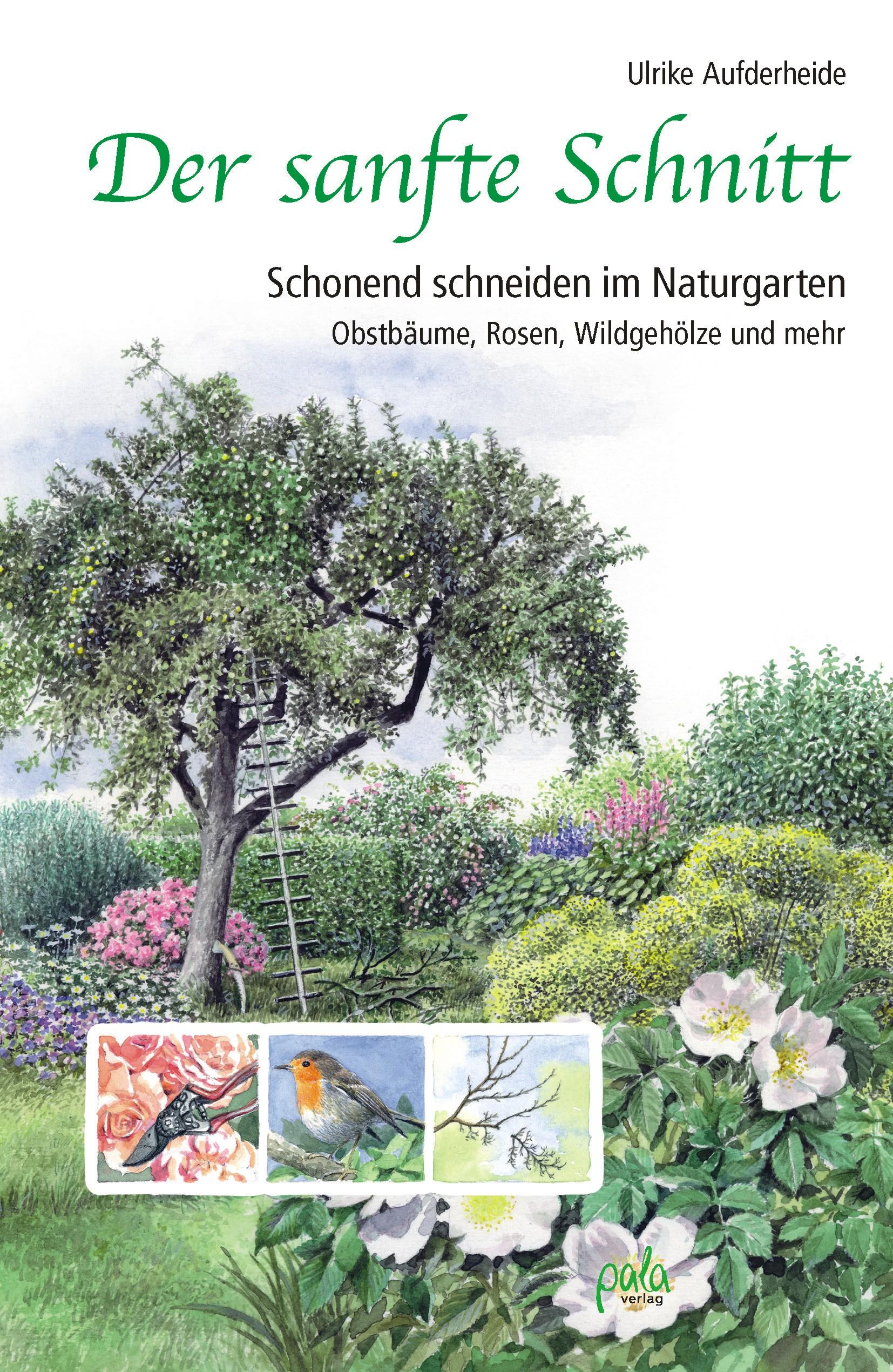 Vorderes Coverbild Der sanfte Schnitt