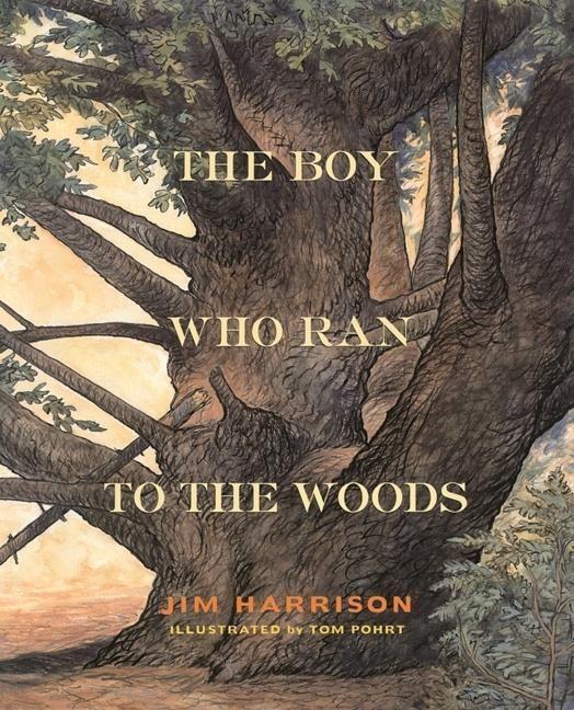 Vorderes Coverbild The Boy Who Ran to the Woods
