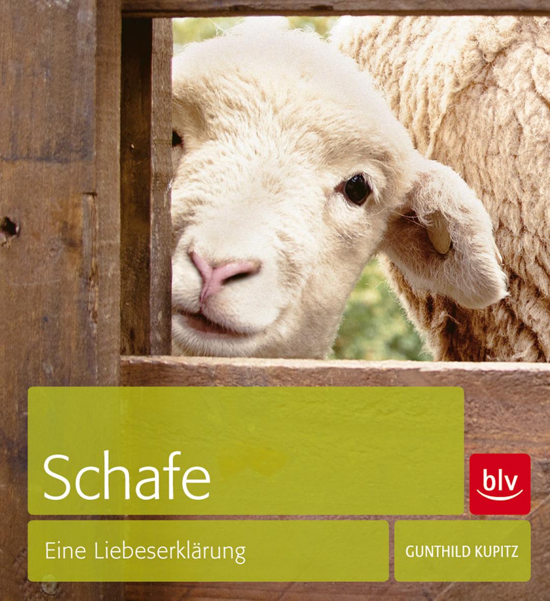 Vorderes Coverbild Schafe