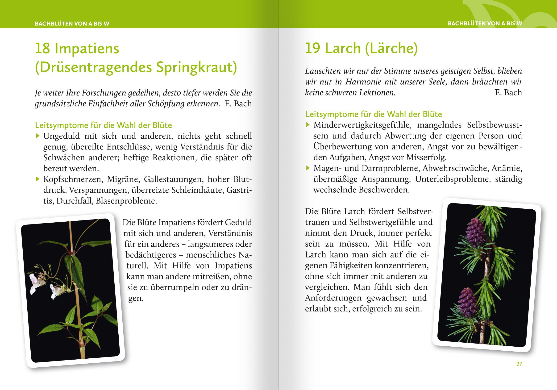 Beispielinhalt (Bild) Heilen mit Bachblüten. Das Kartenset