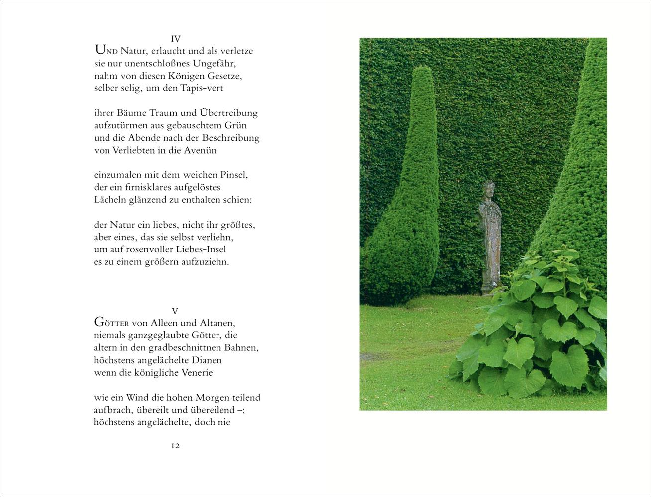 Beispielinhalt (Bild) In einem fremden Park