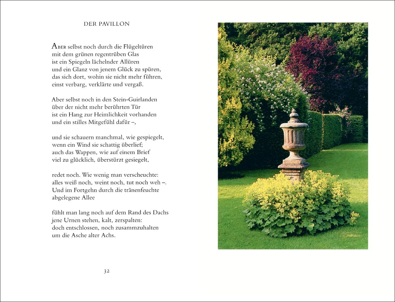 Beispielinhalt (Bild) In einem fremden Park