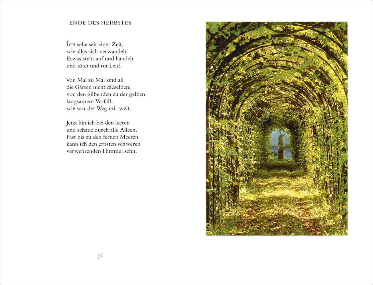 Beispielinhalt (Bild) In einem fremden Park