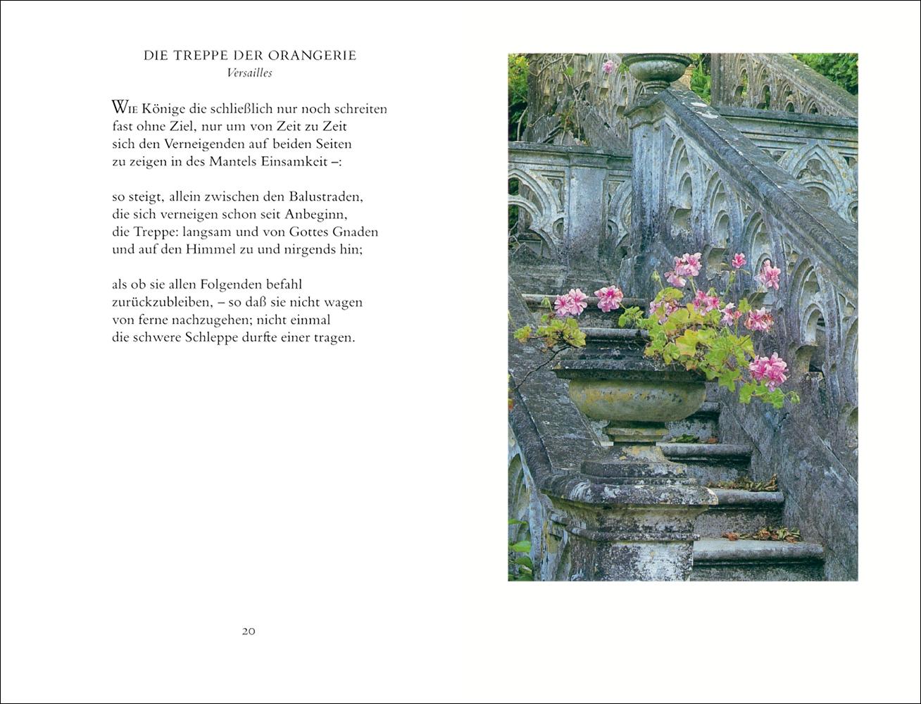 Beispielinhalt (Bild) In einem fremden Park