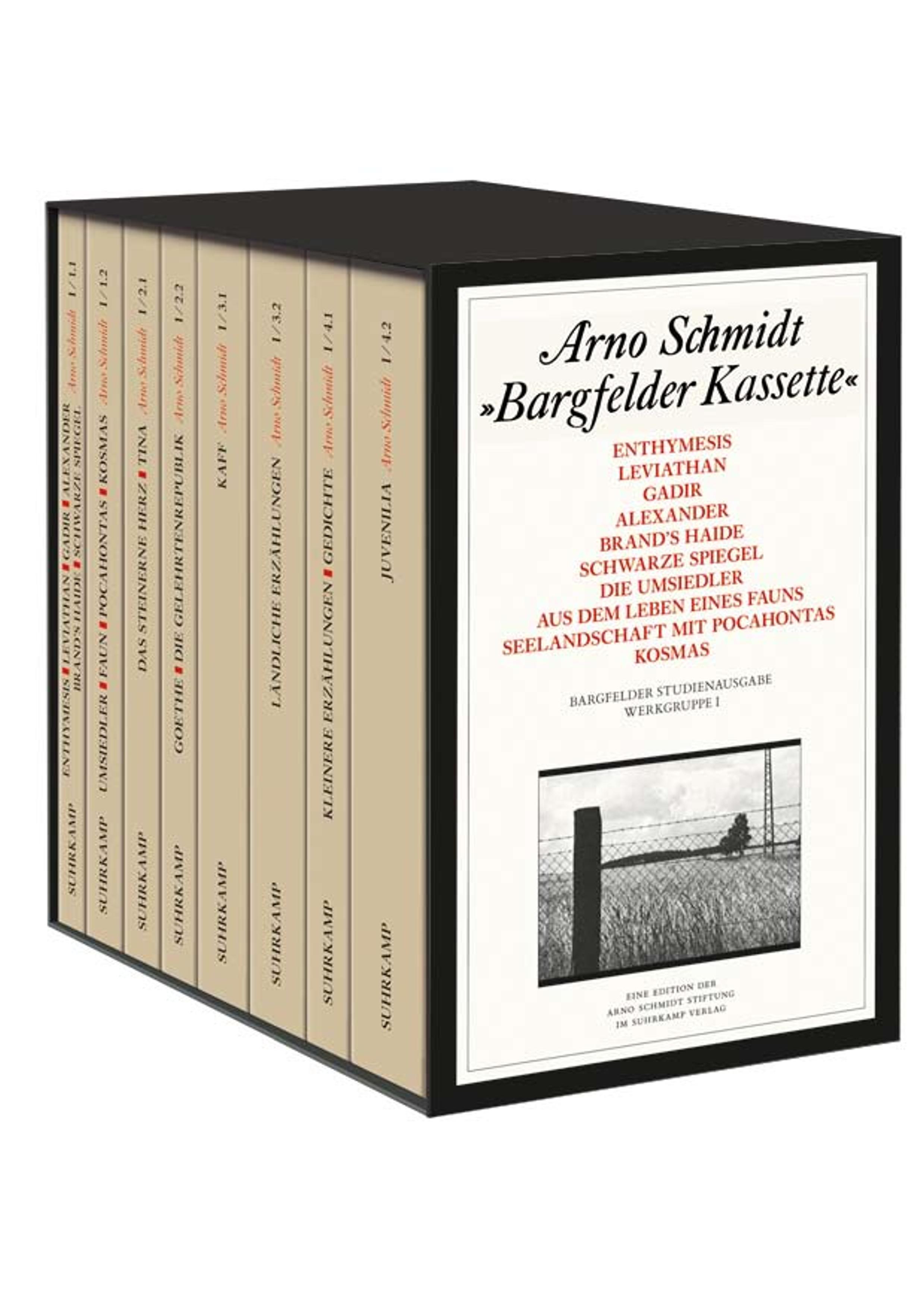 Vorderes Coverbild Bargfelder Ausgabe. Studienausgabe der Werkgruppe I: Romane, Erzählungen, Gedichte, Juvenilia