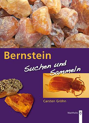 Vorderes Coverbild Bernstein