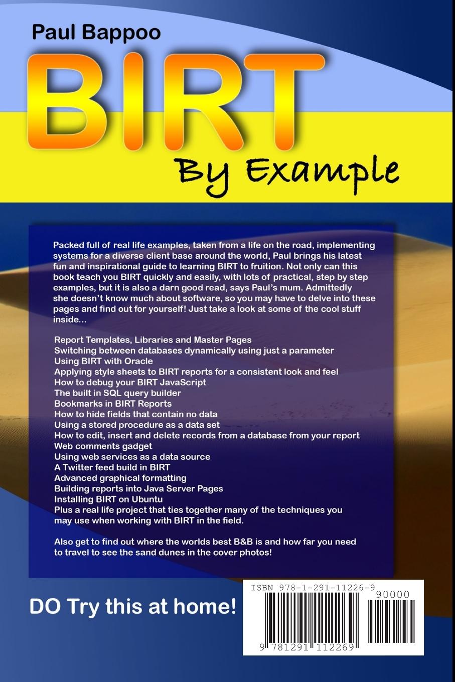 Rückseitencover BIRT by Example