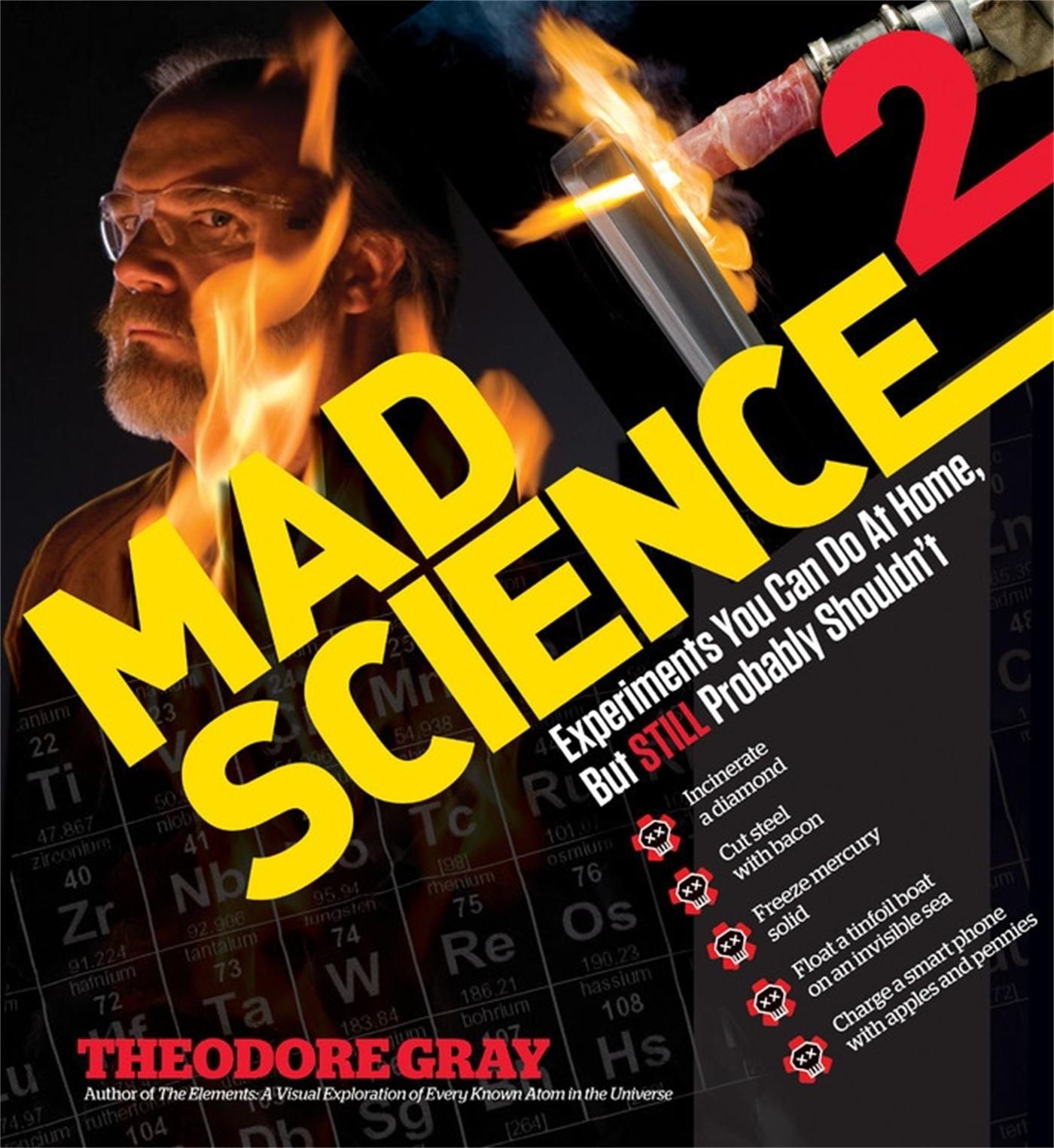 Vorderes Coverbild Mad Science 2
