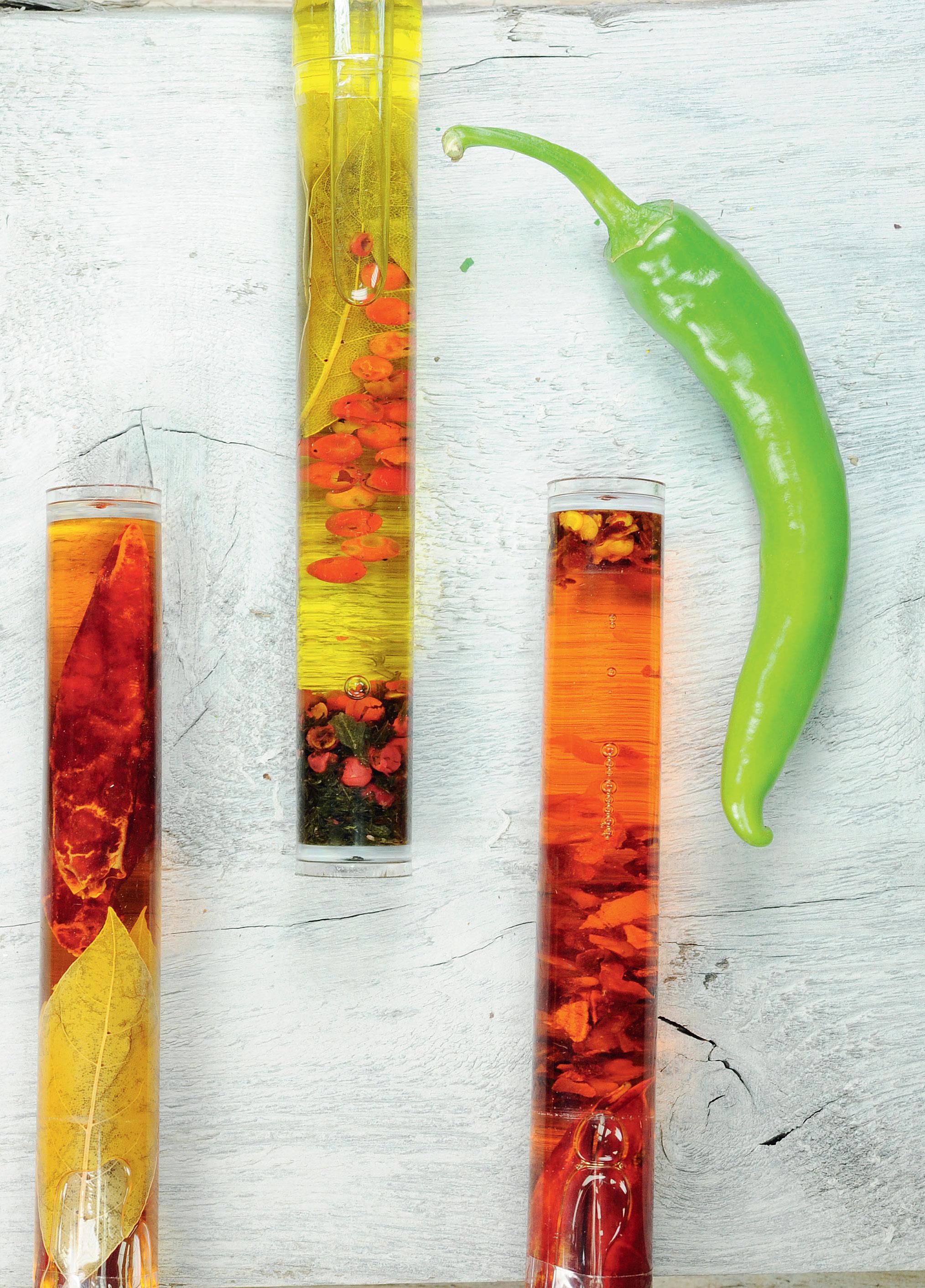 Beispielinhalt (Bild) Die Einkoch-Bibel