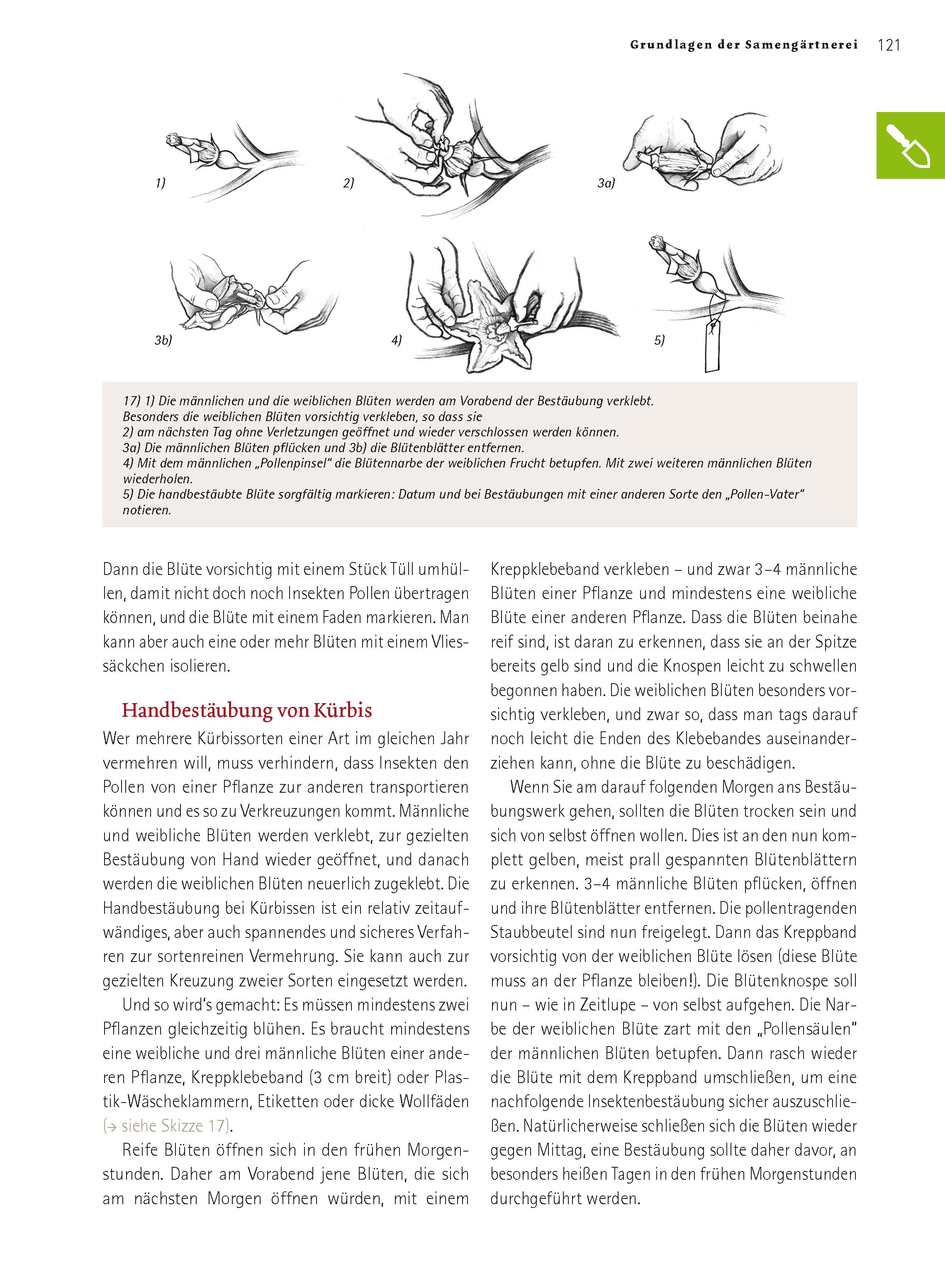 Beispielinhalt (Bild) Das große Biogarten-Buch