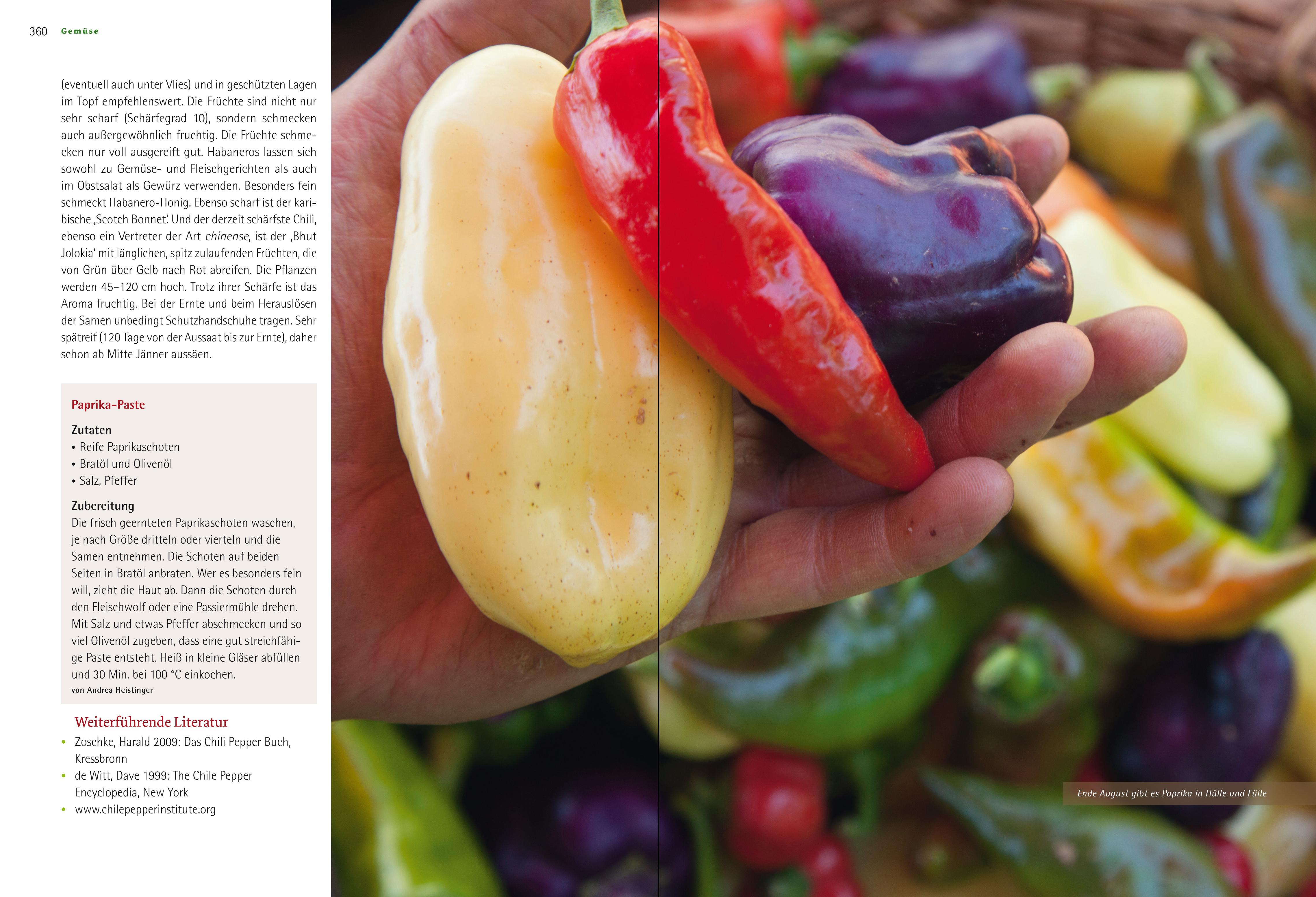 Beispielinhalt (Bild) Das große Biogarten-Buch