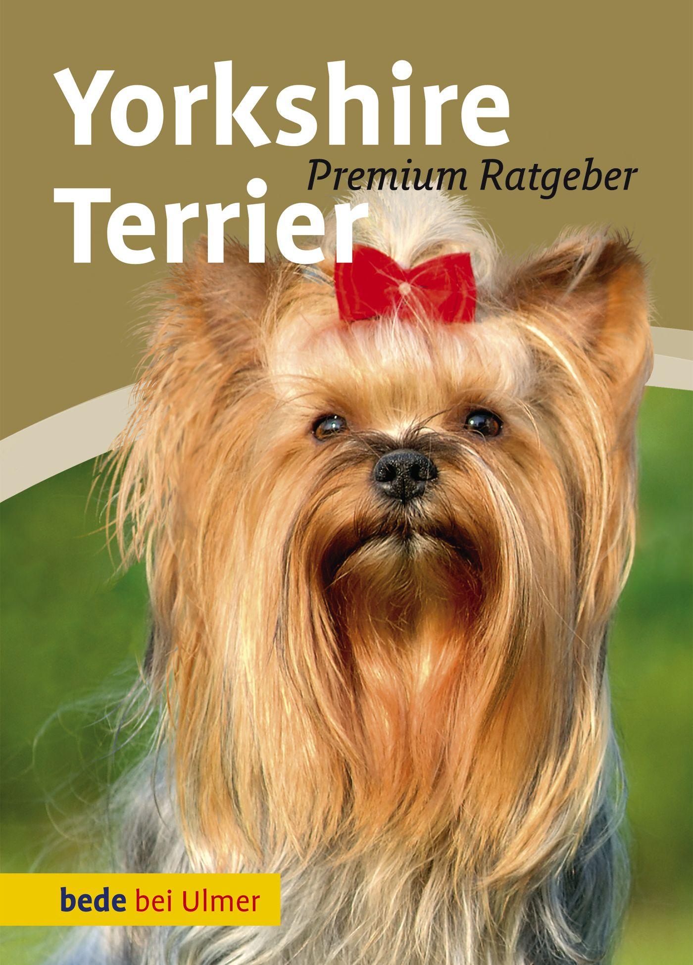 Vorderes Coverbild Yorkshire Terrier