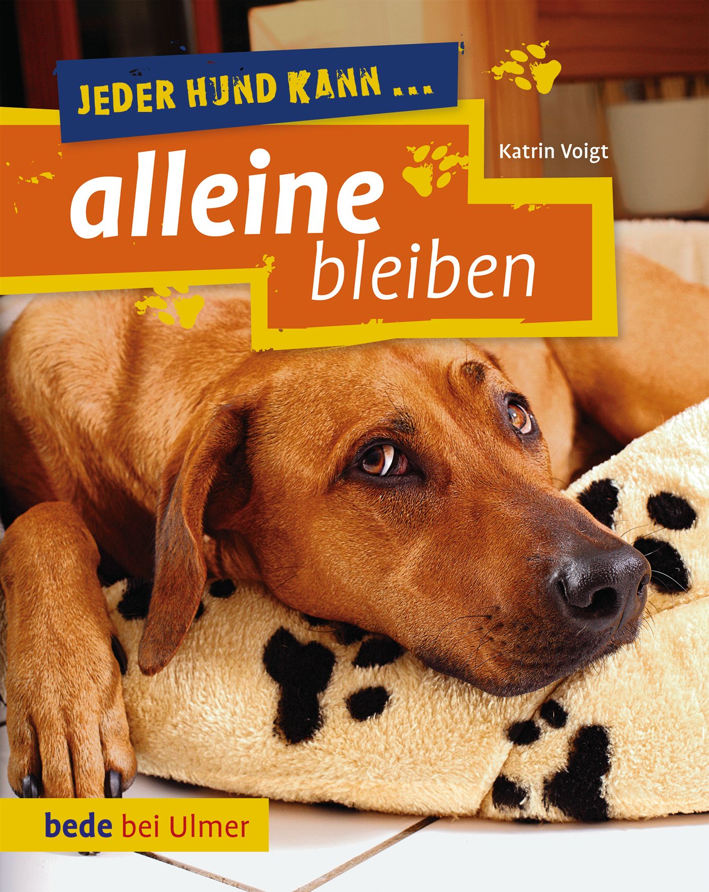 Vorderes Coverbild Jeder Hund kann alleine bleiben