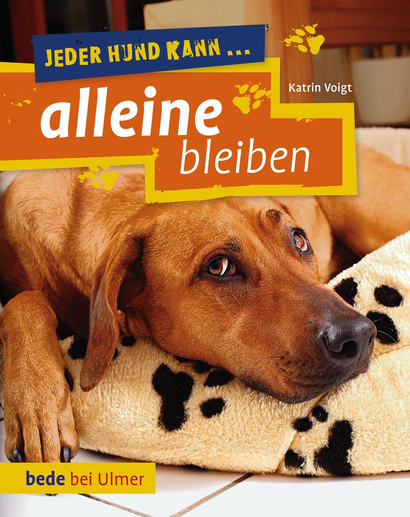 Vorderes Coverbild Jeder Hund kann alleine bleiben