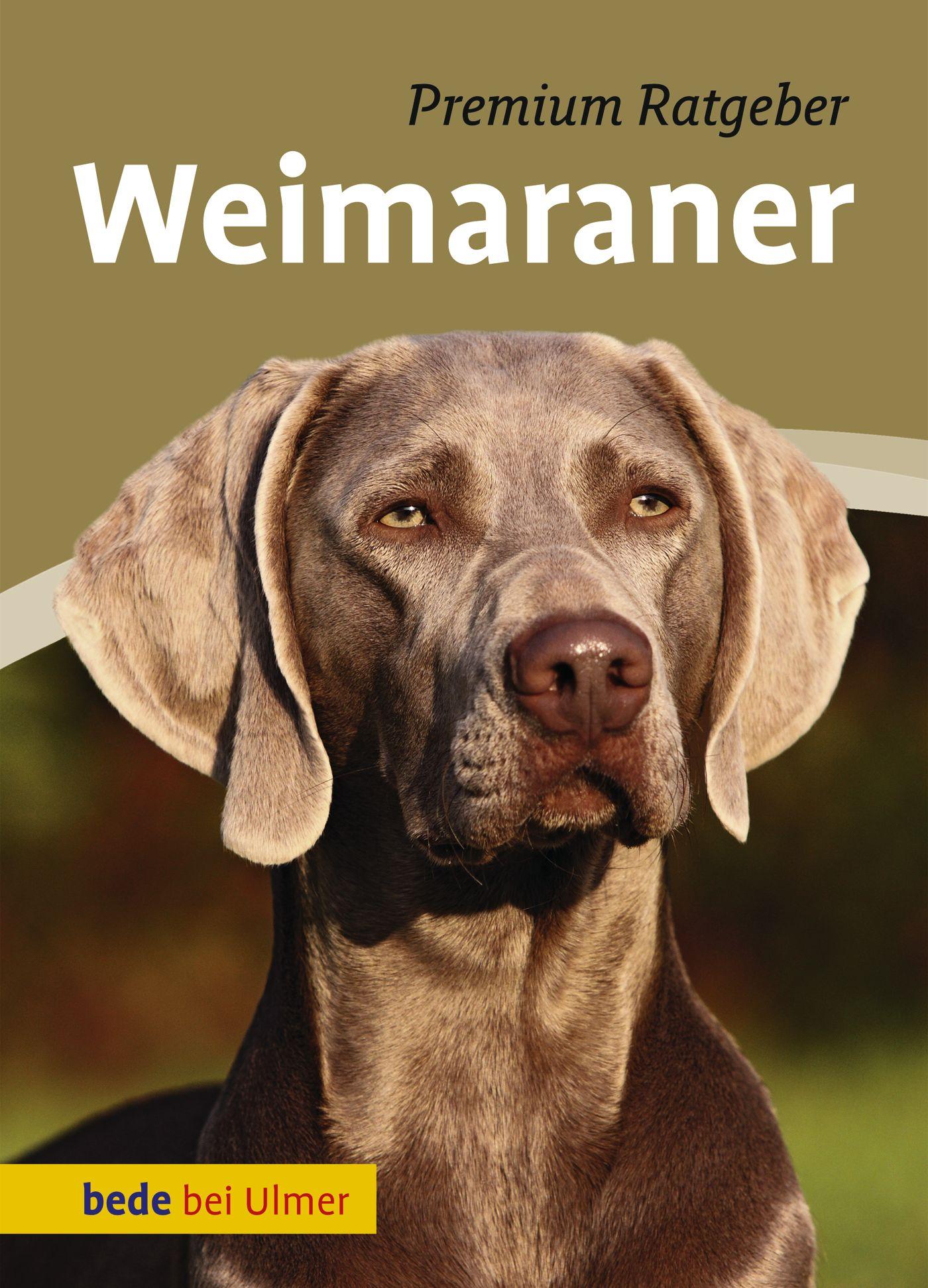 Vorderes Coverbild Weimaraner