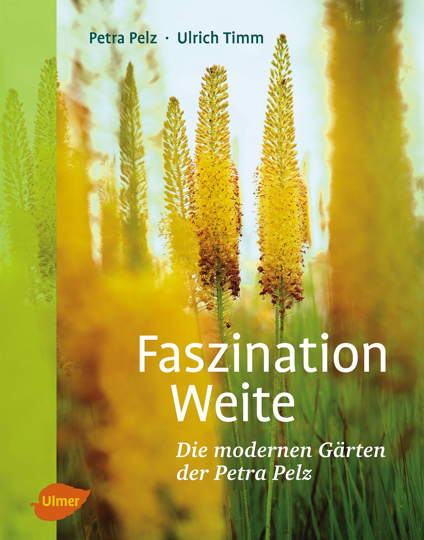 Vorderes Coverbild Faszination Weite