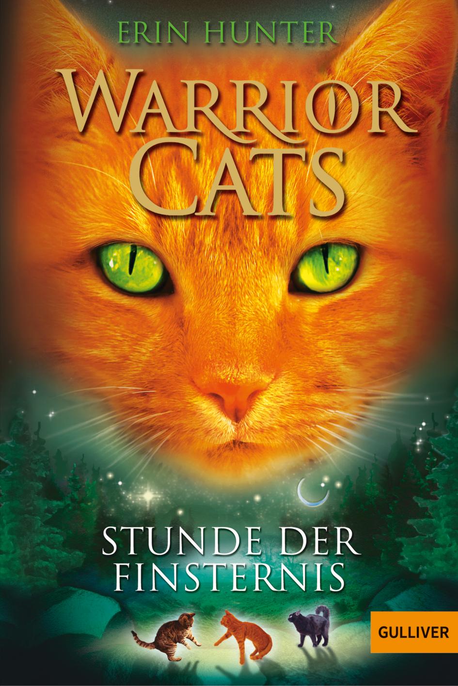 Vorderes Coverbild Warrior Cats Staffel 1/06. Stunde der Finsternis