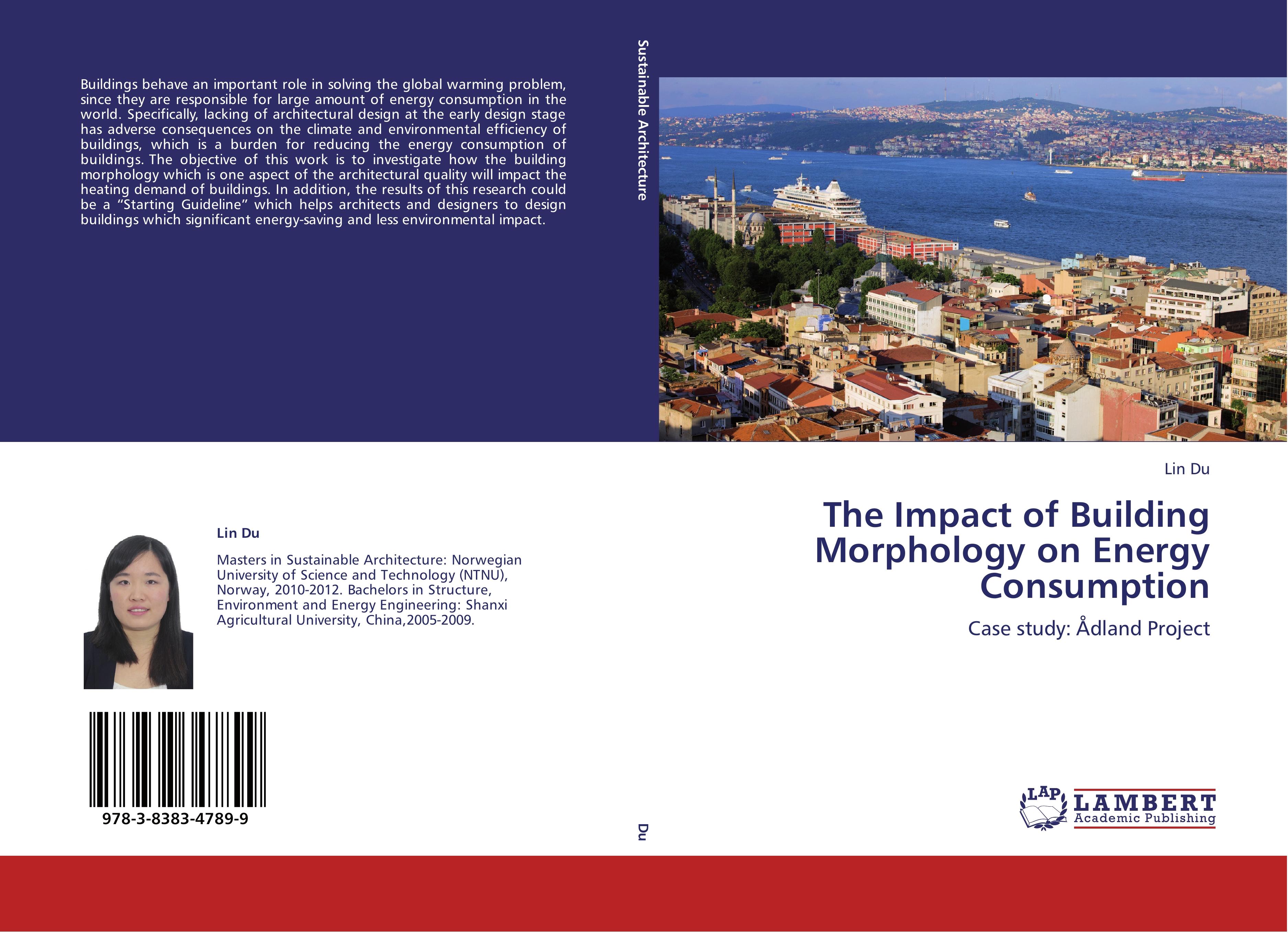Vorderes Coverbild The Impact of Building Morphology on Energy Consumption